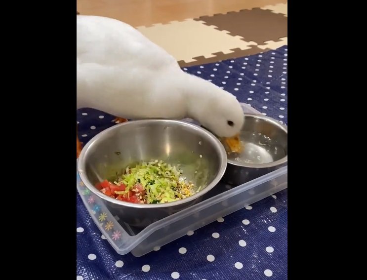 お水も飲みます