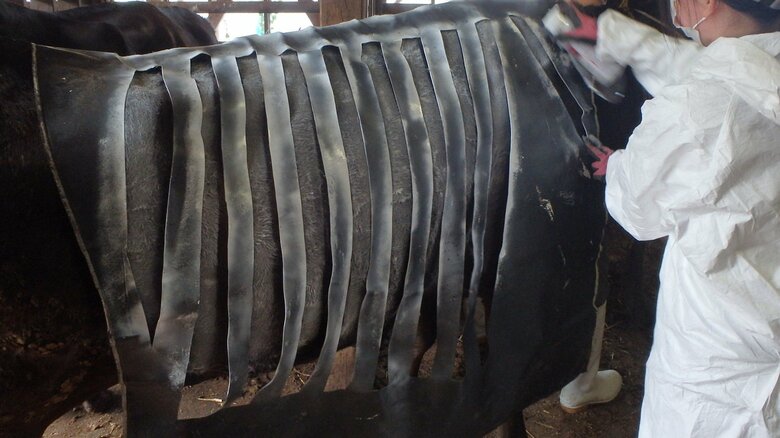 実際の塗装の様子（画像提供：置賜総合支庁）