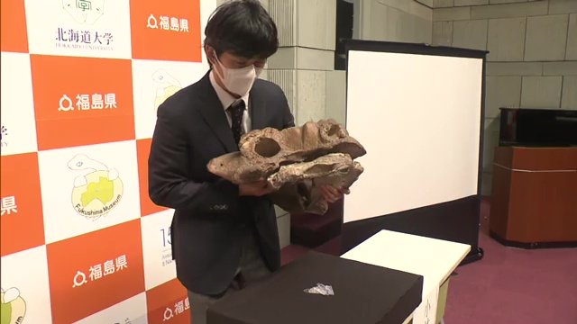 世界初の大発見！恐竜の喉の化石　現存するのは珍しい