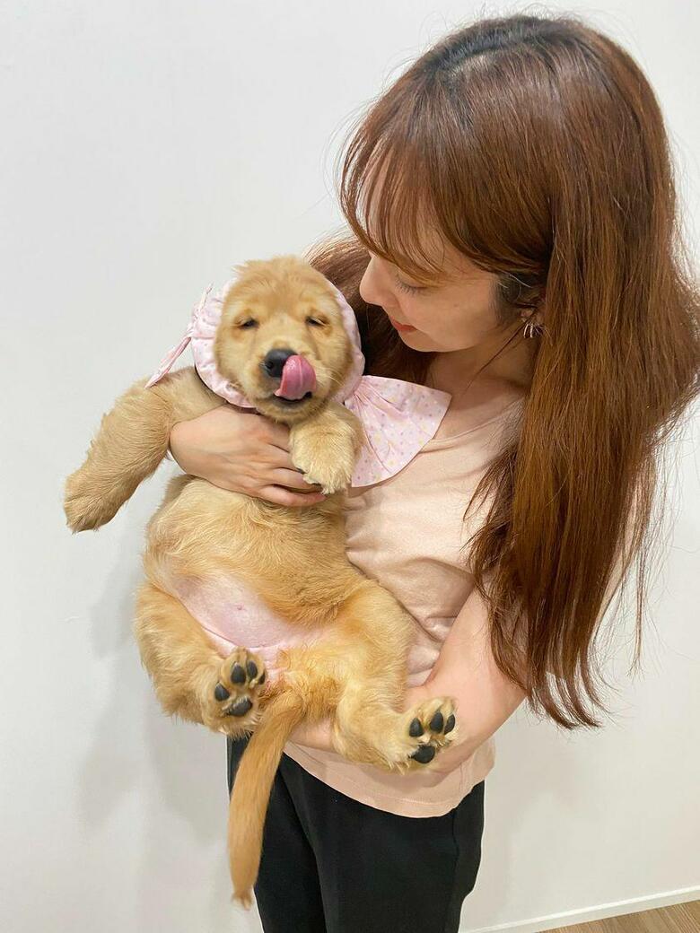 提供：関口和也さん