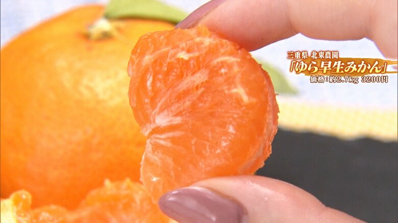 三重県 北東農園「ゆら早生みかん」約2.7キロ 3200円