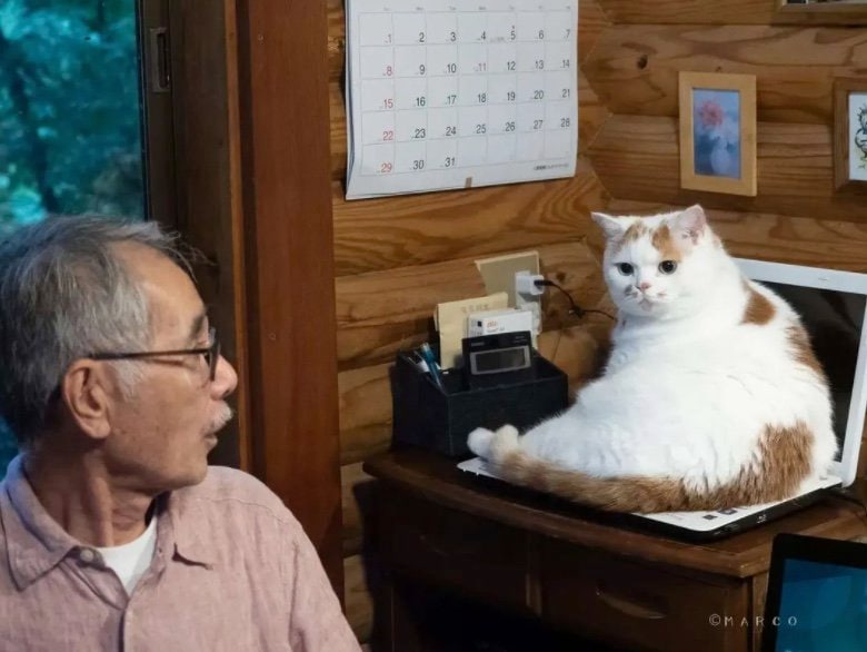 提供：MARCOさん