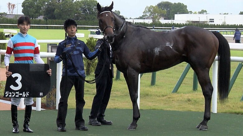 ジュンゴールド