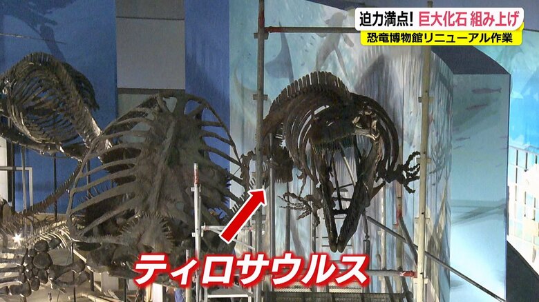 展示フロアから階段を上がったところから見えるティロサウルス