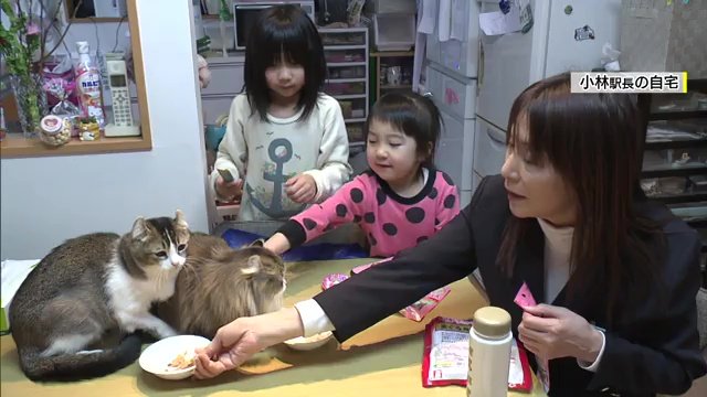 家では前施設長「ぴーち」も一緒