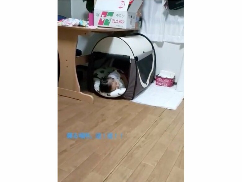 提供：kurumi-chiharuさん