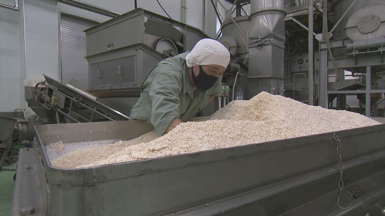 味噌づくりに県産の加工用米を使用