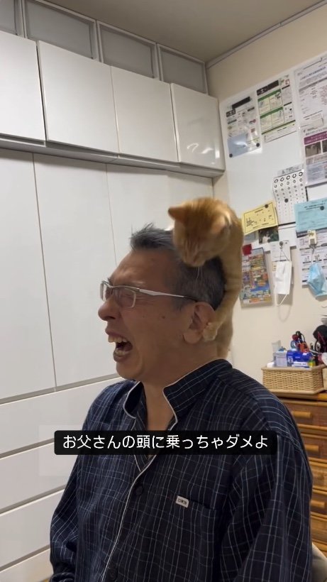 提供：cohakuさん
