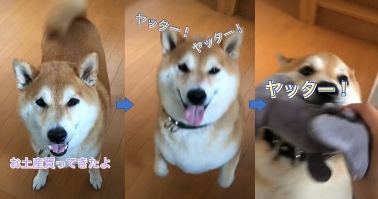 お土産をもらってはしゃぐ福くん