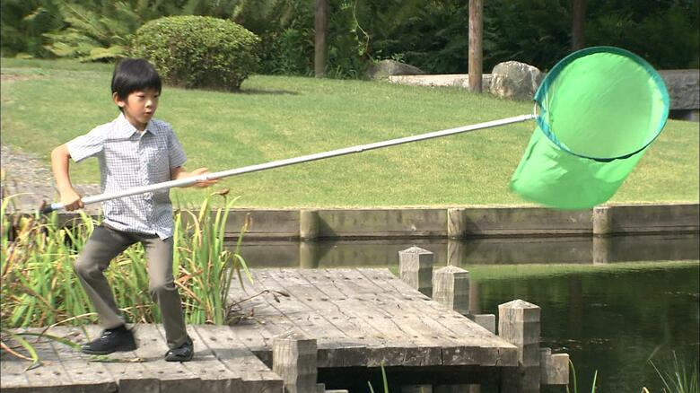 平成27（2015）年8月 赤坂御用地内で昆虫採集