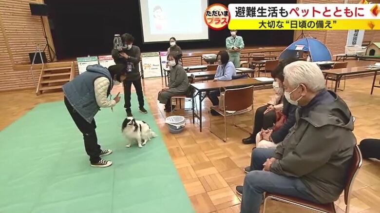 飼い主対象の講習会（2024年1月・静岡県清水町）