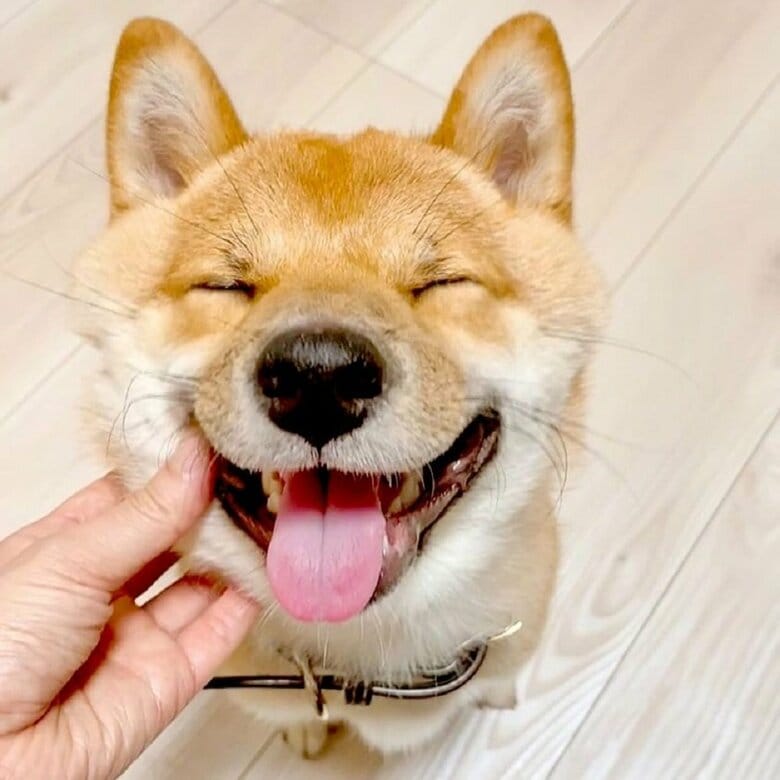 スマイル