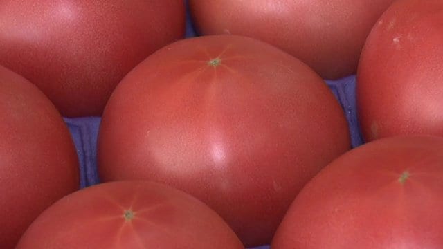 高級品？店頭に並ぶ数も少なく去年より高値に