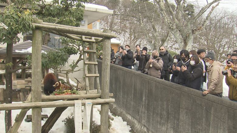 公開初日には大勢のファンが