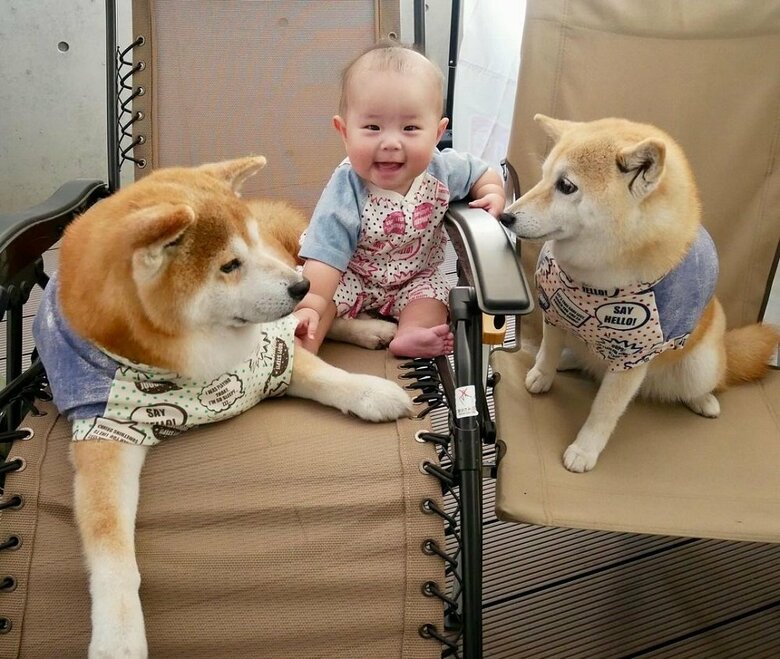 左から　べりやんくん、娘さん、むくみちゃん