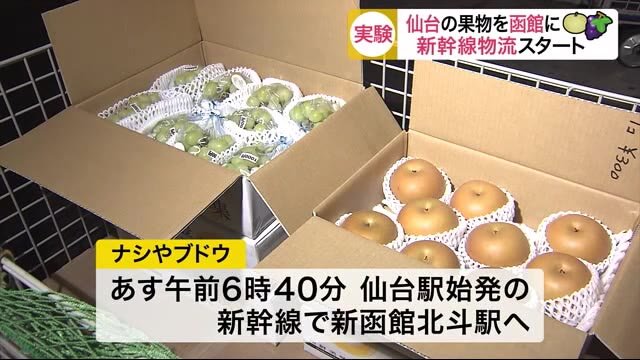 仙台の果物を函館に「新幹線物流」スタート より新鮮な状態で消費者へ