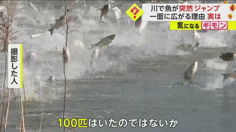 （FNN投稿サイト「ビデオPost」）