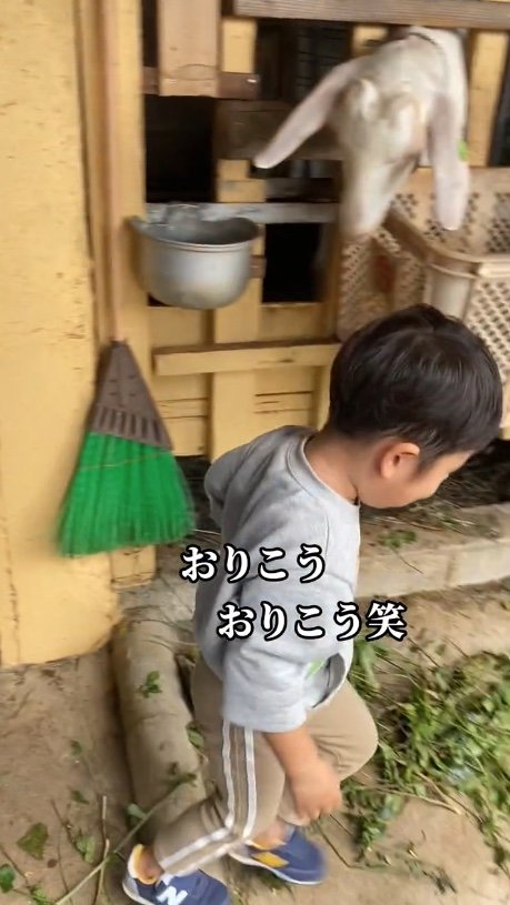 提供：あらかわキッズさん