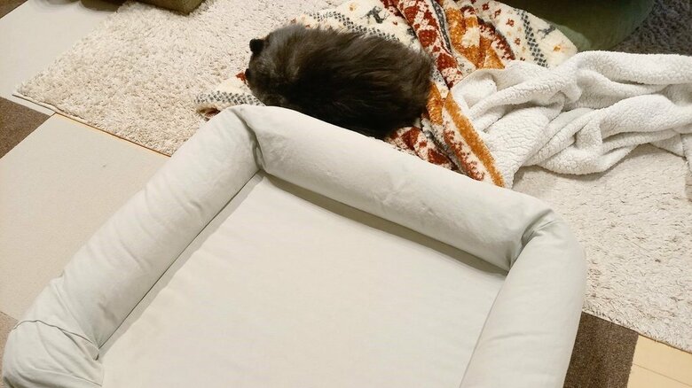 ベッドを洗濯したらふて寝したことも