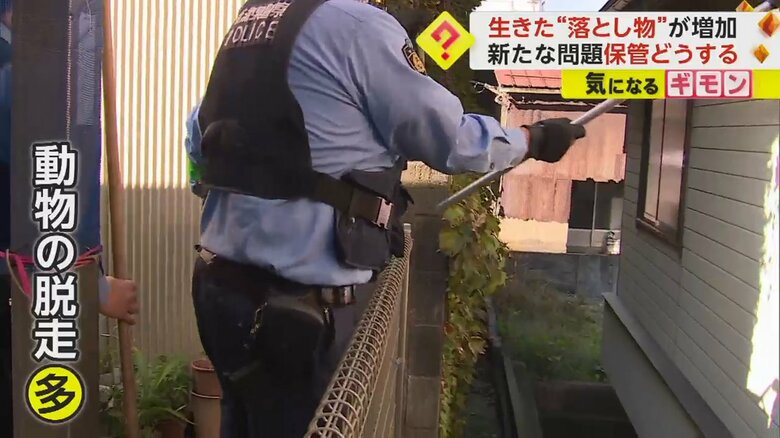 脱走した動物を捜索する警察官