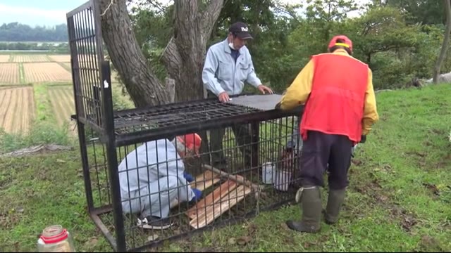クマに襲われ男性重傷 人身被害9件に 長雨でエサ不足…人里近くに出没か 「生ごみ放置しないで」