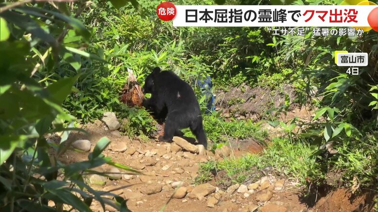 登山客の至近距離にも現れていたクマ（4日、立山）