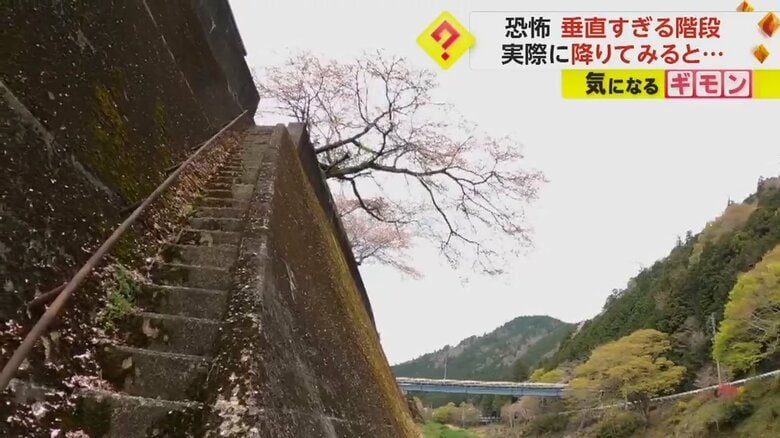 階段の上に桜が咲いている