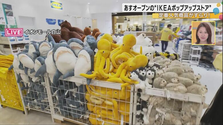 ポップアップストアに用意された様々な商品