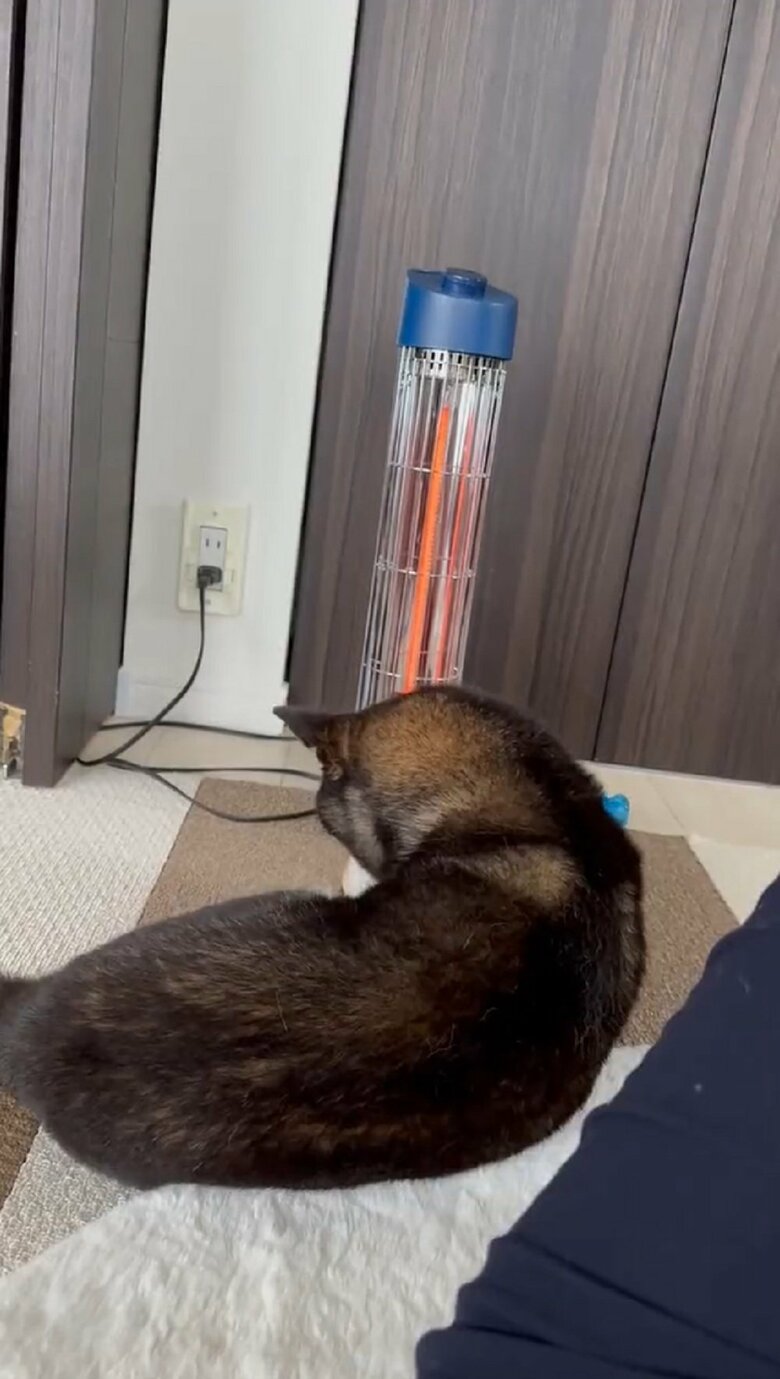 ゆったりくつろぐ体勢に。ストーブ前を無事に確保できた