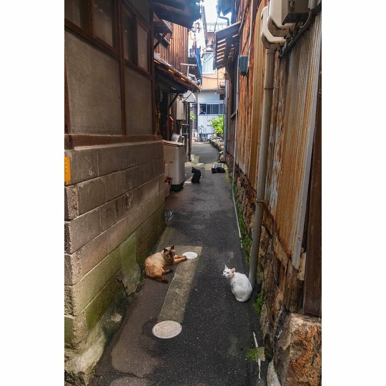 岡山県下津井田之浦（2022年9月撮影）