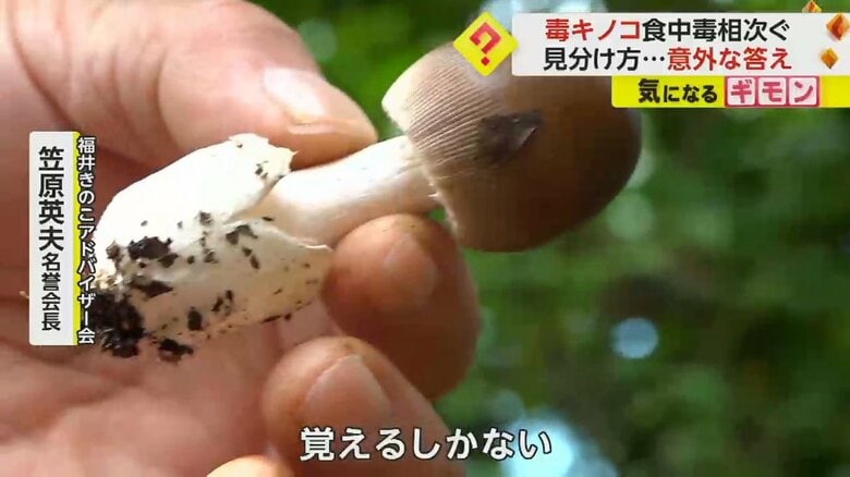 「毒キノコは覚えるしかない」と話す福井きのこアドバイザー会・笠原英夫名誉会長