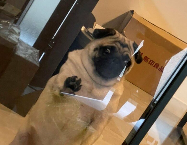 提供：よこむすびさん