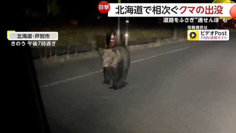 道路を塞ぐようにゆっくりと進むクマ（5日午後7時過ぎ、北海道・芦別市の住宅街）