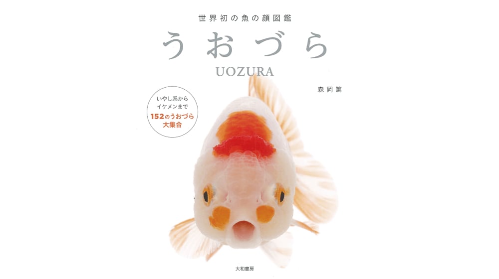 魚の正面顔 うおづら がかわいい こんな表情をどうやったら撮れるのか聞いてみた Fnnプライムオンライン いつも見ているものも 別角度から見てみる ｄメニューニュース Nttドコモ