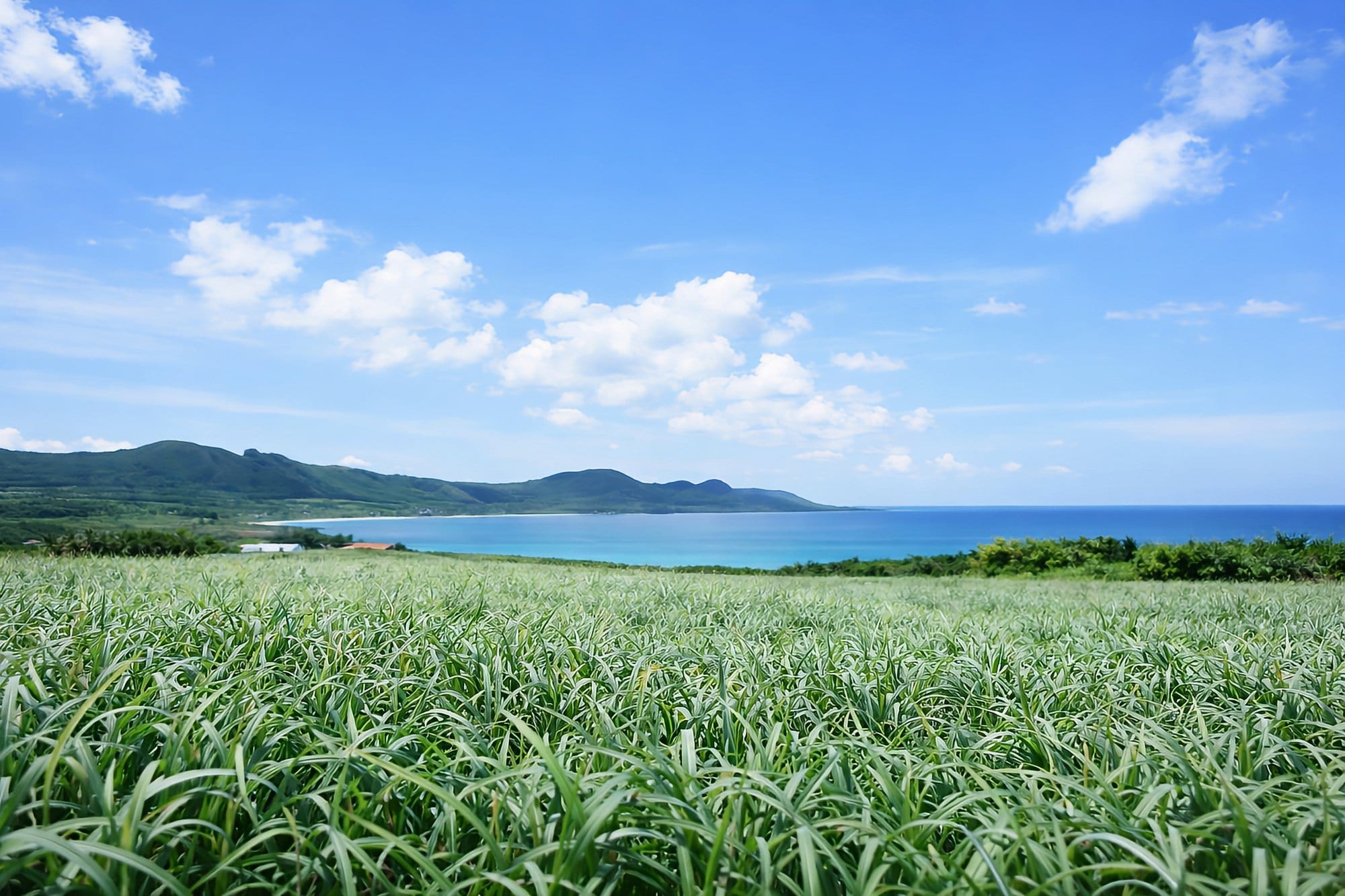 沖縄　やっと梅雨明け　2025年より22日遅い　那覇市の梅雨期間の降水量は平年約1.7倍　気象庁