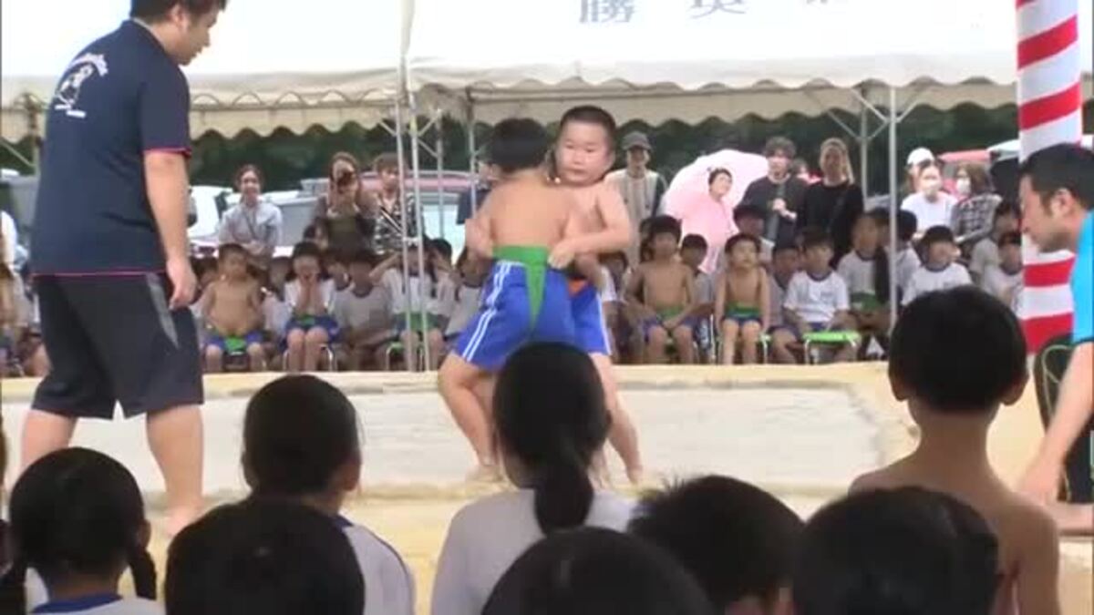 四角い土俵”の上で500年の伝統受け継ぐ小さな力士がぶつかり合い