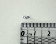 【ピリ辛チキン丼に金属片】小学校の学校給食に”5ミリの金属片”が混入…児童が配膳中に発見、健康被害なし＜北海道・北斗市＞