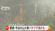 【なぜ】愛媛・岡山の山火事で住宅などに被害…韓国では死者も　相次ぐ山林火災は地球温暖化「負の連鎖」が背景か