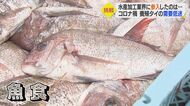 「もったいない」タイの6割は食べられない部位…農産加工技術で新商品開発＆食品ロス解消も【愛媛発】