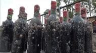 水深約１０メートルで半年間熟成…ワインの味わいは？小豆島の海底に沈めたワインの引き揚げ作業【香川】