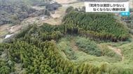 「気持ちは激怒しかない」なくならない無断伐採　現場で見た実態