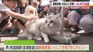 芦ノ牧温泉駅の駅員見習い猫がはじめての出張　あぶくま洞のイベント盛り上げる　福島・田村市