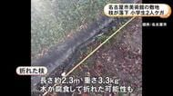 当時は無風で木が腐食か…公園で長さ5mほどのケヤキの枝が折れて下にいた小学生2人に当たる 頭を切るなどのケガ