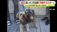 飼い犬2匹を安倍川に遺棄「同棲のために2人で話し合って…」 男のアパートはペット不可の物件　体内チップで飼い主の女が判明　交際関係の30代男女を書類送検　静岡南警察署