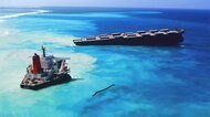 モーリシャス重油流出事故に在住日本人が動いた