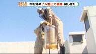 ぶんぶんぶん「ハチ」が飛ぶ! 浜松の“おまち”でハチミツづくり