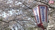 新型コロナウイルスの影響で盛岡さくらまつり・龍泉洞まつりが中止【岩手】
