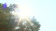 猛暑の夏に「マスク着用の是非」コロナ禍の夏をどう過ごす?…熱中症・脱水など日常に潜む危険