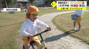 「気持ちいい!ぬくいです!」4月上旬並みの陽気に子どもは外で元気いっぱい(松江・米子)