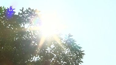 猛暑の夏に「マスク着用の是非」コロナ禍の夏をどう過ごす?…熱中症・脱水など日常に潜む危険